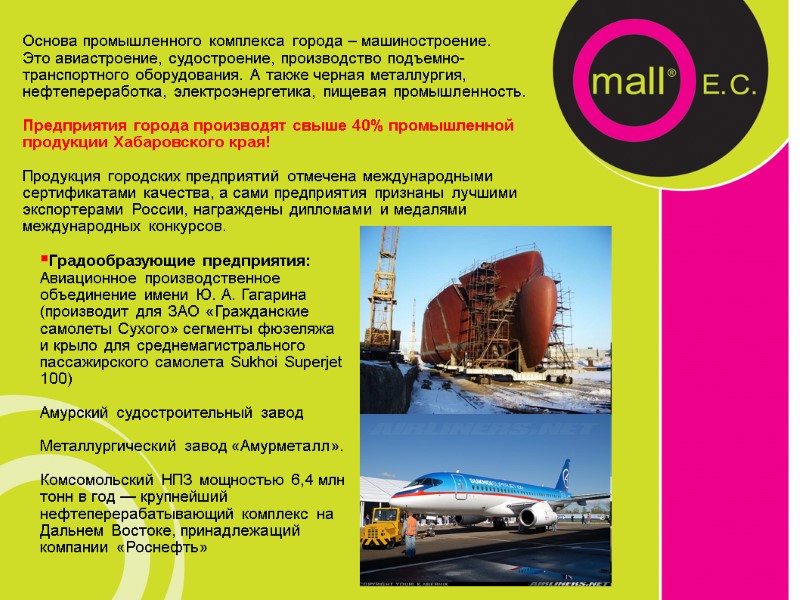 Градообразующие предприятия: Авиационное производственное объединение имени Ю. А. Гагарина (производит для ЗАО «Гражданские самолеты